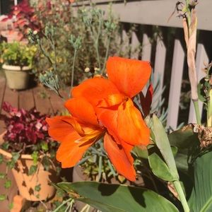 Meet your Posher, Debra